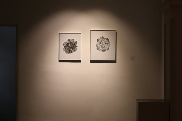 چیدمان طراحی بدون عنوان از تارا آزرم