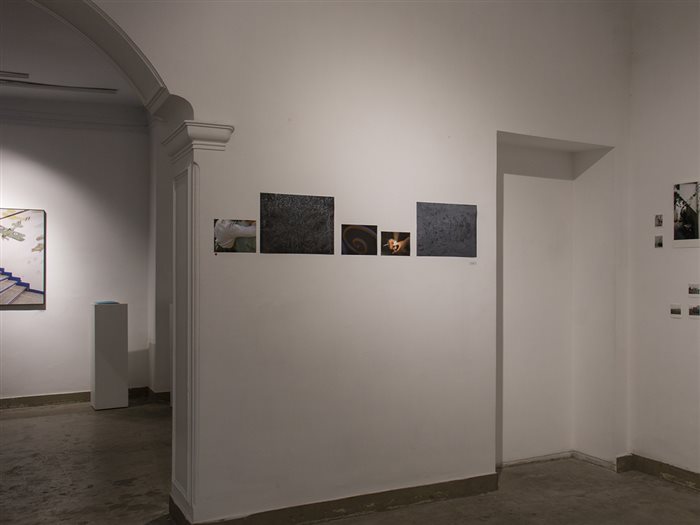 چیدمان آثار رعنا سوری