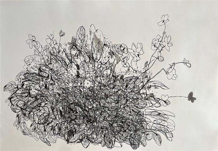 Farina Bayat, Moms african violets, Ink on paper, 70 x 100 cm, 2020