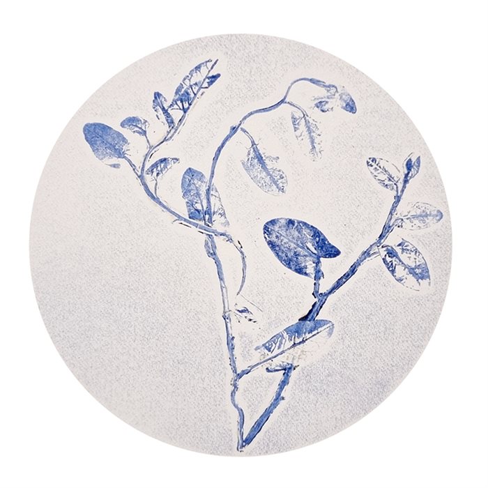 Saba Arabshahi, Convolvulus arvensis L. Bindweed / Morning Glory, 31 x 31 cm, 2023