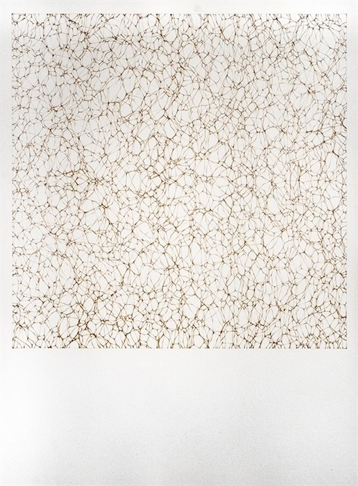Shahryar Gharaei, Untitled, Burn effect on paper, 76 x 54 cm, 2023