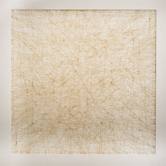 Shahryar Gharaei, Untitled, Burn effect on paper, 49 x 49 cm, 2023