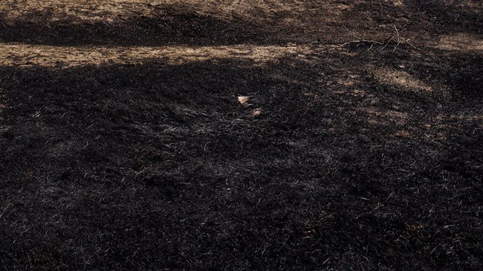 Forugh Taj, Untitled / Number 9 of 41, Color photography printed on Epson glossy paper, 50 × 50 cm, 2020-2022