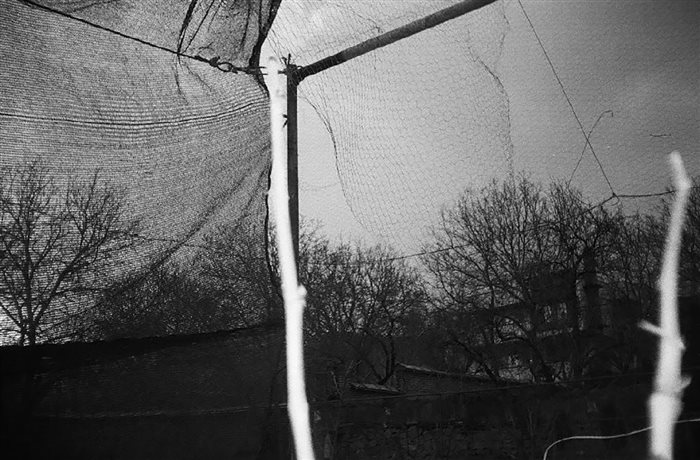 Kimia Askarian, Untitled from «the vigilant sleepers» series, Analog photography, 30 × 20 cm, 2021