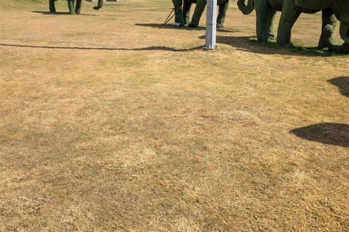 Mohsen Yazdipour, Shahid Hemet Gharb highway, from «A sight (not) to be seen» series, Digital photography, 60 × 90 cm, 2017