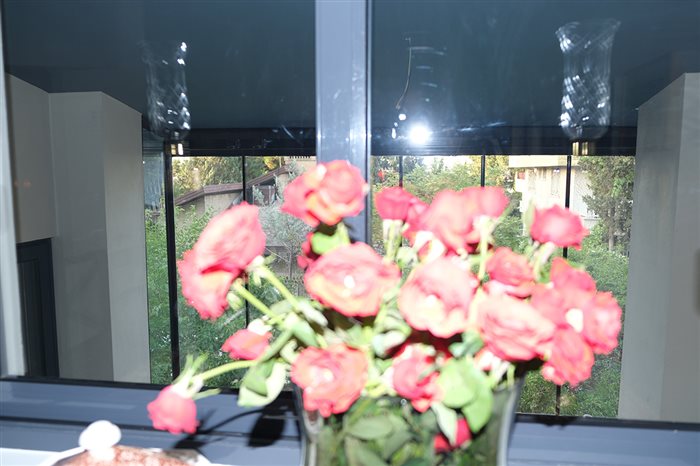 Pooria Bijari, Untitled from «Human, Animal, Nature» series, Digital photography, 42 × 67 cm, 2023