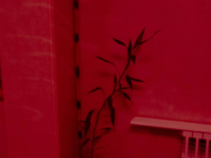 Rana Severi, Untitled, from «on the green chest of a stormy sea» series, Digital photography on silk paper, 20 × 27 cm, 2023