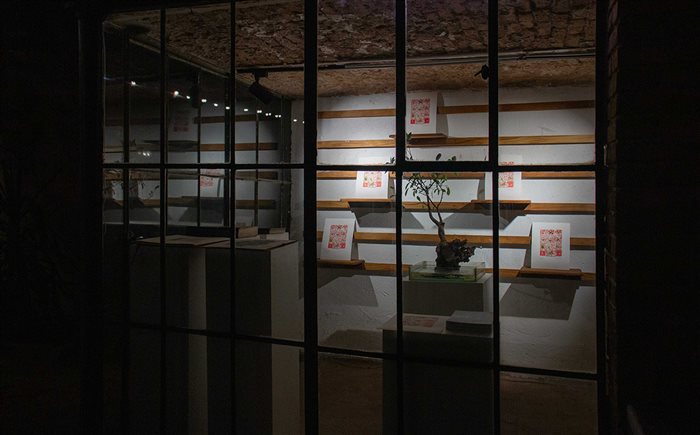 Towards life, a Solo Exhibition