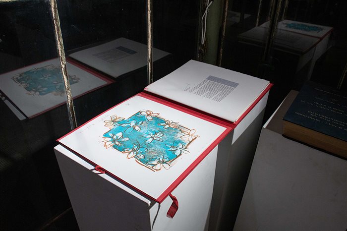 Towards life, a Solo Exhibition