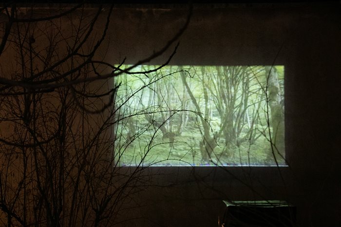 Video art by Farshad Akbari