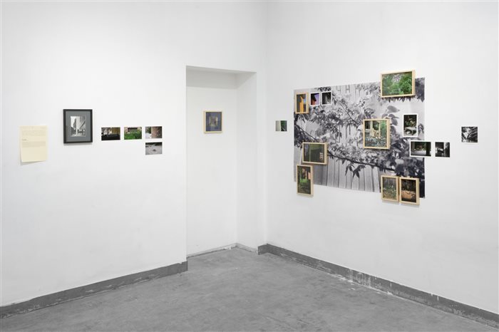 Artworks by Ashkan Daneshmand