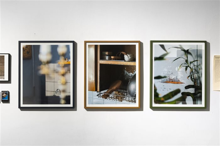 Artworks by (n)iki shadloo and Roozbeh Maleki