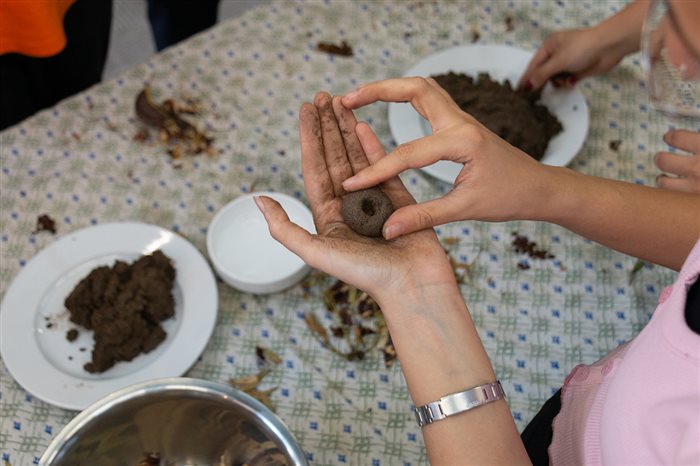 کارگاه بذرهای سرگردان