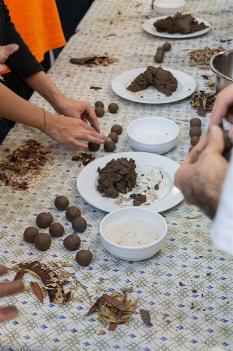 کارگاه بذرهای سرگردان