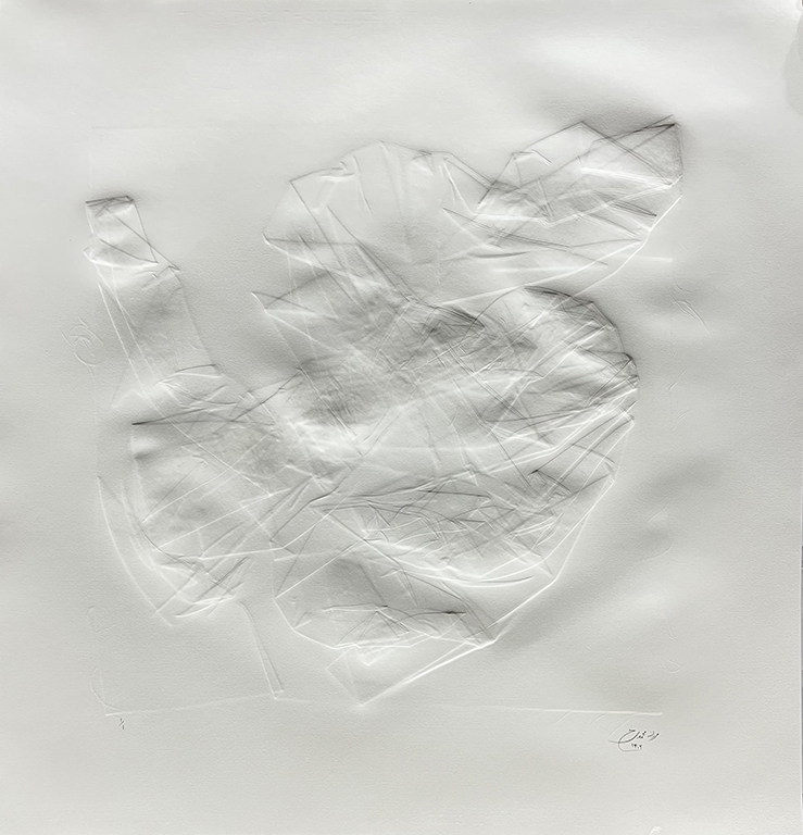 artwork by farzaneh mohammadi, embossed print of a folded fabric