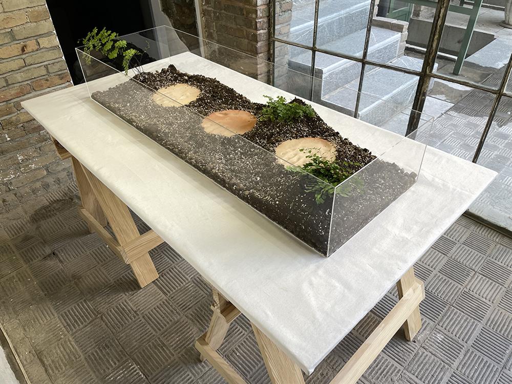 installation of plant, soil, and three handprints by maryam farshad