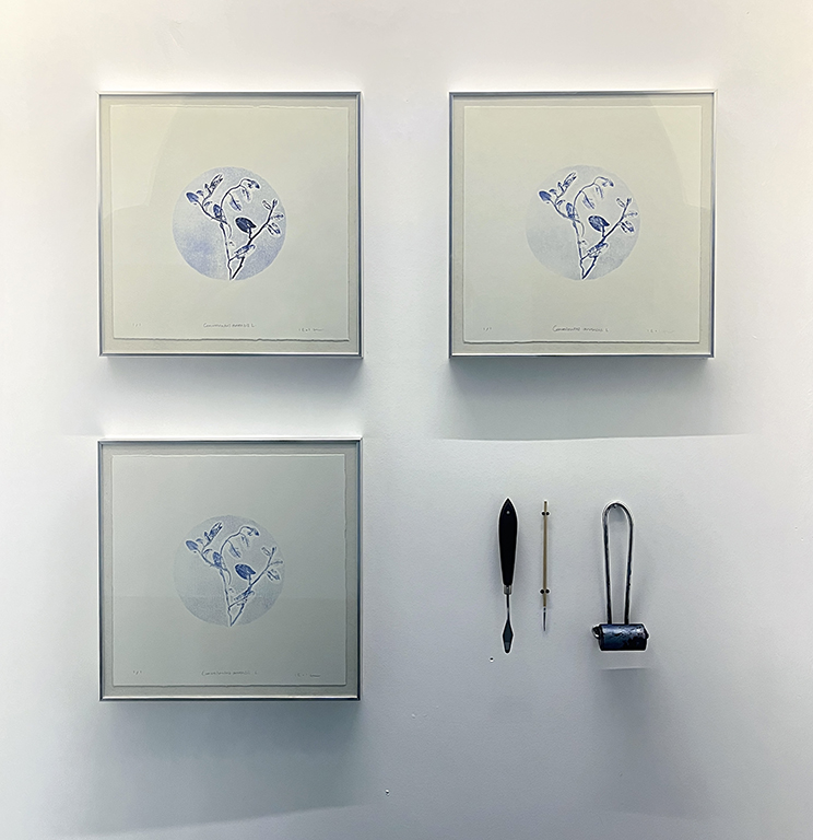 three prints and drawings by saba arabshahi alongside printmaking tools