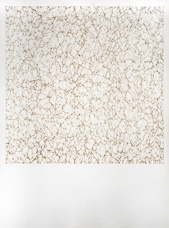 shahriyar gharaei artwork
