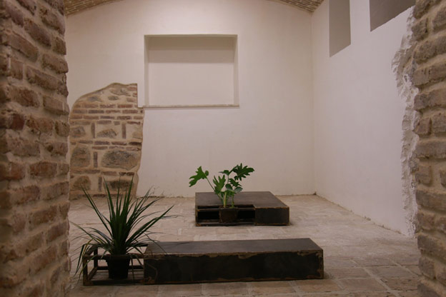 Hamed Dehqan / Palnt-Place